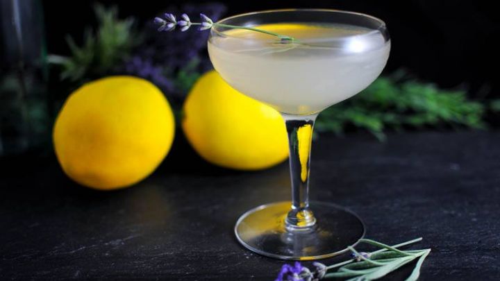 LAVENDER BEES KNEES