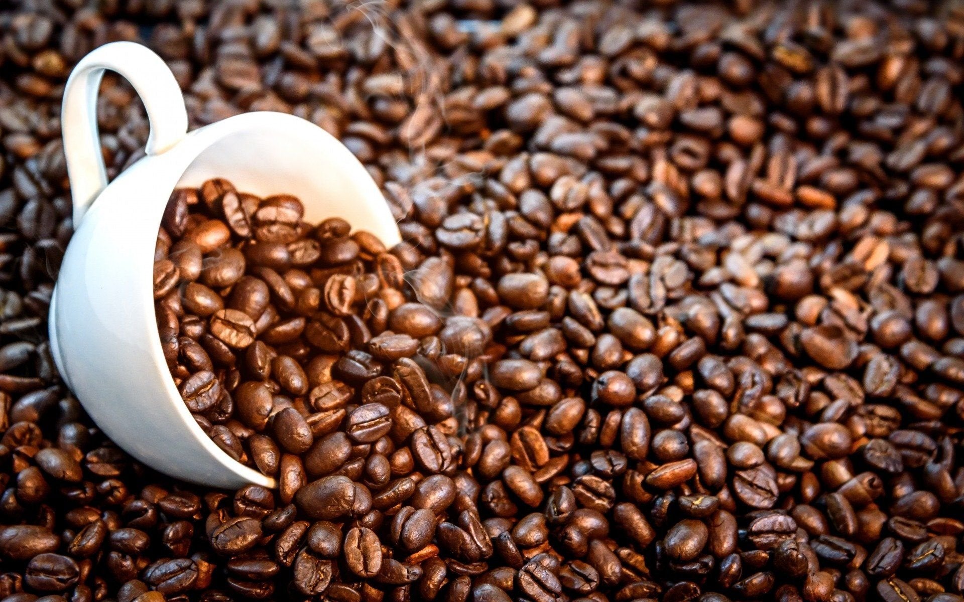 Bully Brew Colombian French Roast (Espresso)
